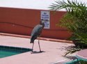 DSCN1524.jpg